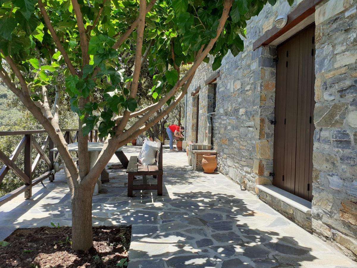 Villa Limnionas Sunview à Xorychti Extérieur photo