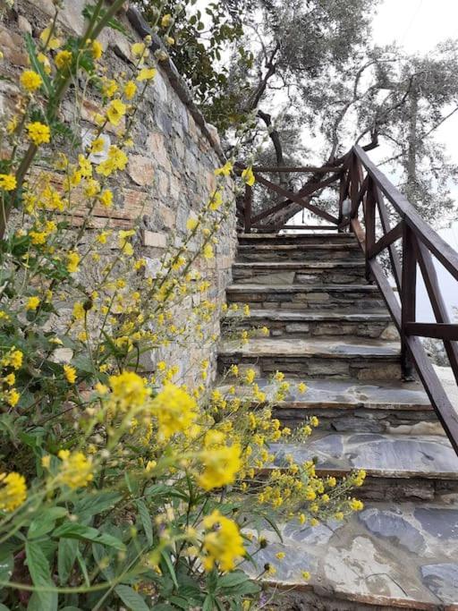 Villa Limnionas Sunview à Xorychti Extérieur photo